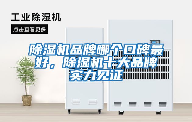 除濕機品牌哪個(gè)口碑最好，除濕機十大品牌實(shí)力見(jiàn)證