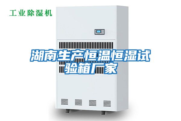 湖南生產(chǎn)恒溫恒濕試驗箱廠(chǎng)家
