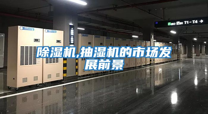 除濕機,抽濕機的市場(chǎng)發(fā)展前景