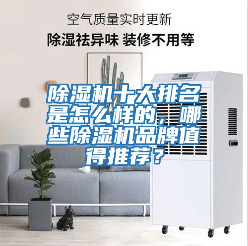 除濕機十大排名是怎么樣的，哪些除濕機品牌值得推薦？