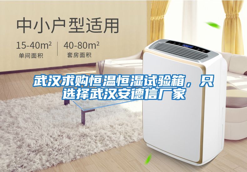 武漢求購恒溫恒濕試驗箱，只選擇武漢安德信廠(chǎng)家