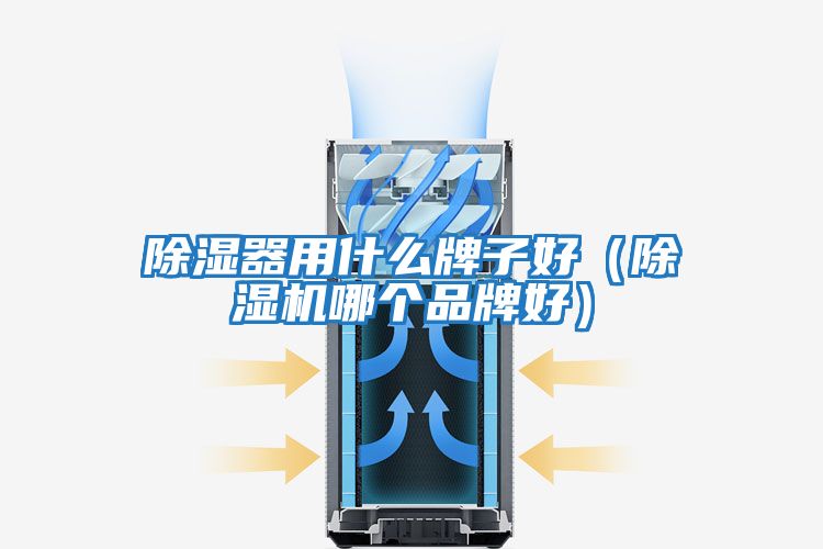 除濕器用什么牌子好（除濕機哪個(gè)品牌好）
