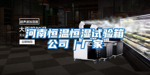 河南恒溫恒濕試驗箱公司｜廠(chǎng)家