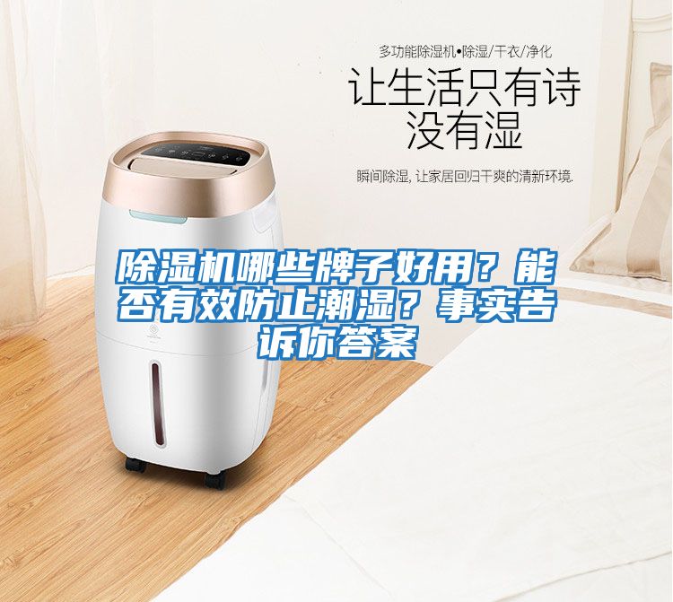 除濕機哪些牌子好用？能否有效防止潮濕？事實(shí)告訴你答案