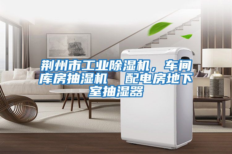 荊州市工業(yè)除濕機，車(chē)間庫房抽濕機  配電房地下室抽濕器