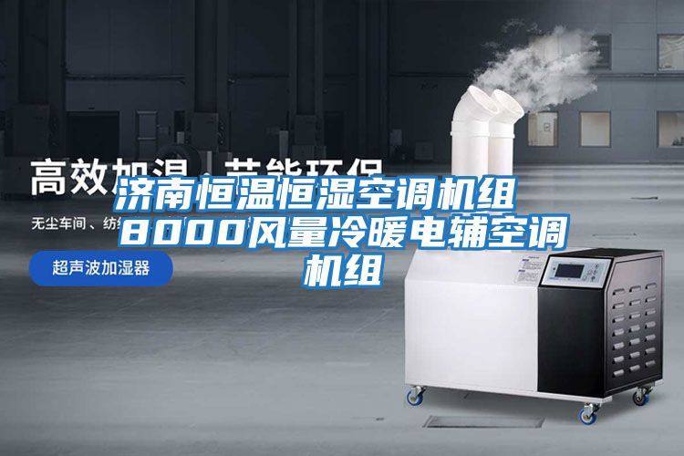 濟南恒溫恒濕空調機組  8000風(fēng)量冷暖電輔空調機組