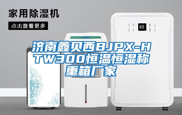 濟南鑫貝西BJPX-HTW300恒溫恒濕稱(chēng)重箱廠(chǎng)家