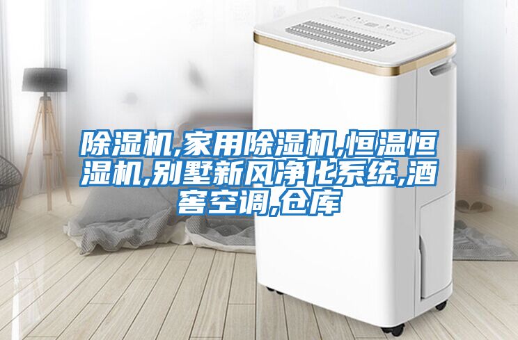 除濕機,家用除濕機,恒溫恒濕機,別墅新風(fēng)凈化系統,酒窖空調,倉庫