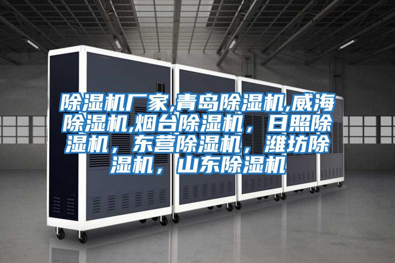 除濕機廠(chǎng)家,青島除濕機,威海除濕機,煙臺除濕機，日照除濕機，東營(yíng)除濕機，濰坊除濕機，山東除濕機