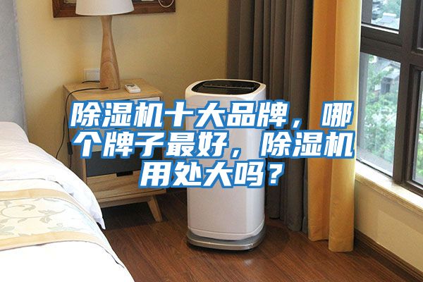 除濕機十大品牌，哪個(gè)牌子最好，除濕機用處大嗎？