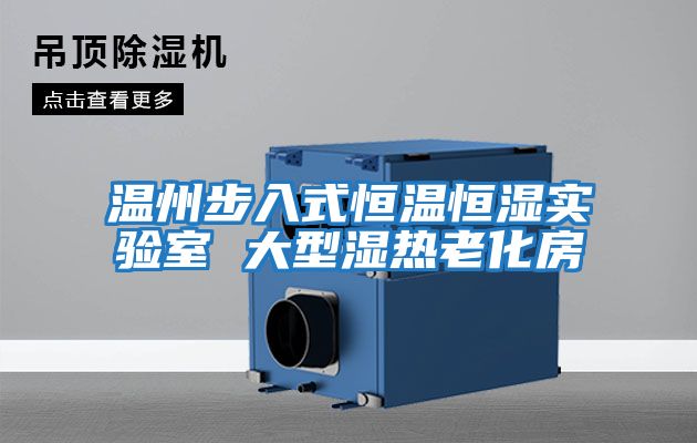 溫州步入式恒溫恒濕實(shí)驗室 大型濕熱老化房