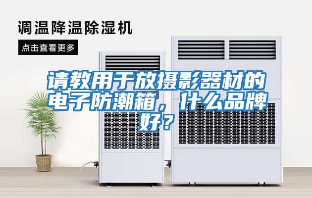 請教用于放攝影器材的電子防潮箱，什么品牌好？