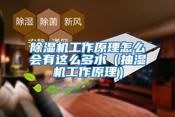 除濕機工作原理怎么會(huì )有這么多水（抽濕機工作原理）
