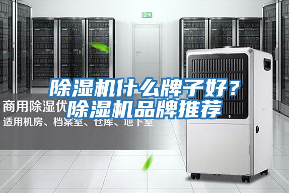 除濕機什么牌子好？除濕機品牌推薦