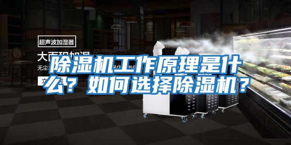 除濕機工作原理是什么？如何選擇除濕機？