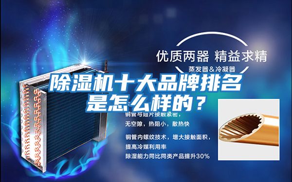除濕機十大品牌排名是怎么樣的？