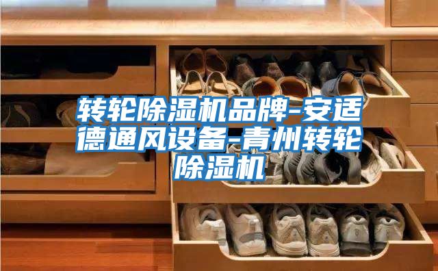 轉輪除濕機品牌-安適德通風(fēng)設備-青州轉輪除濕機