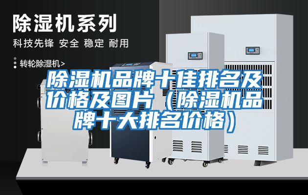 除濕機品牌十佳排名及價(jià)格及圖片（除濕機品牌十大排名價(jià)格）