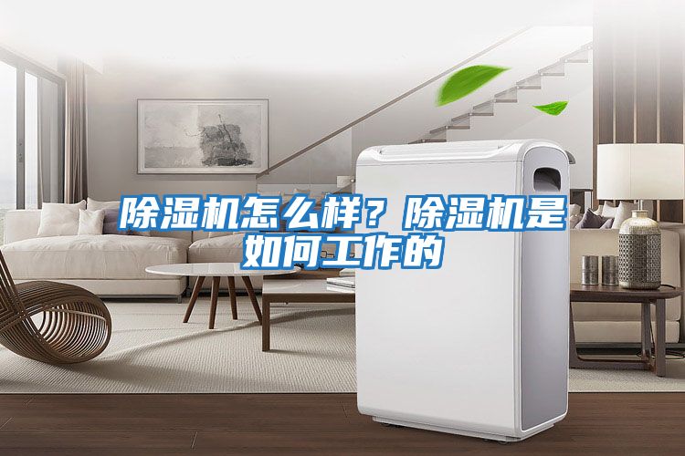 除濕機怎么樣？除濕機是如何工作的