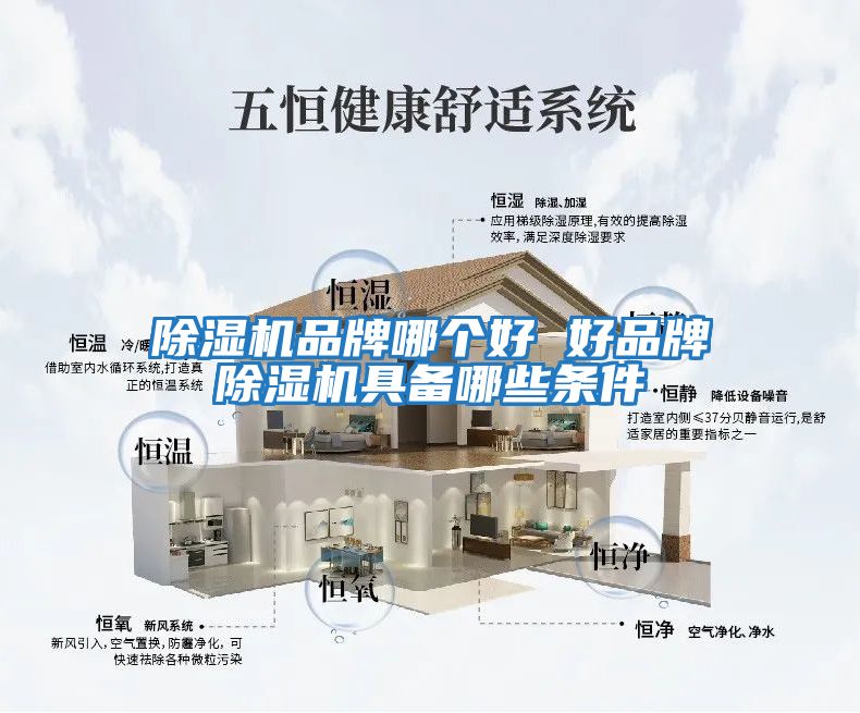 除濕機品牌哪個(gè)好 好品牌除濕機具備哪些條件