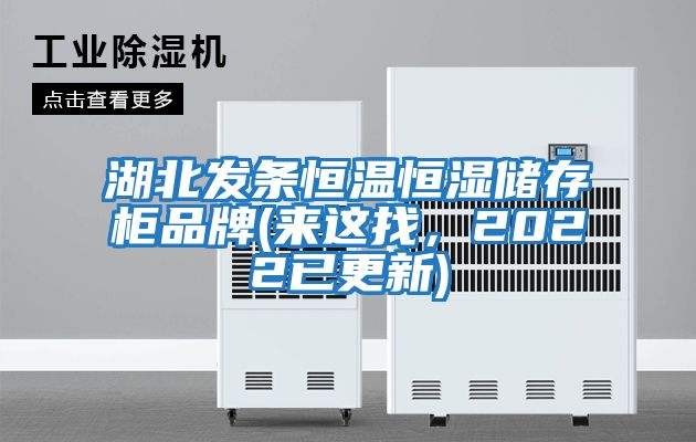 湖北發(fā)條恒溫恒濕儲存柜品牌(來(lái)這找，2022已更新)