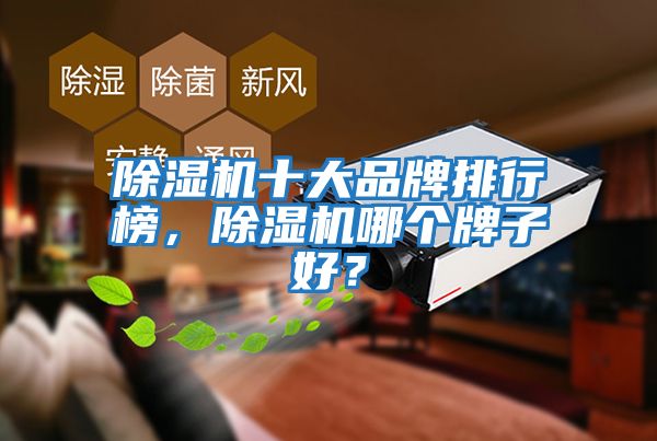 除濕機十大品牌排行榜，除濕機哪個(gè)牌子好？