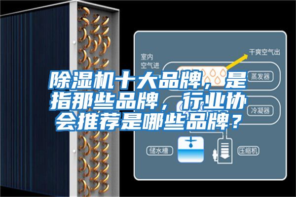 除濕機十大品牌，是指那些品牌，行業(yè)協(xié)會(huì )推薦是哪些品牌？