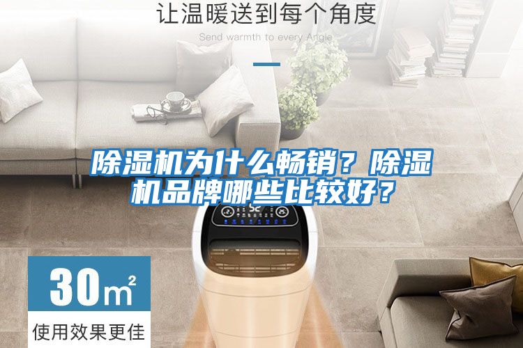 除濕機為什么暢銷(xiāo)？除濕機品牌哪些比較好？