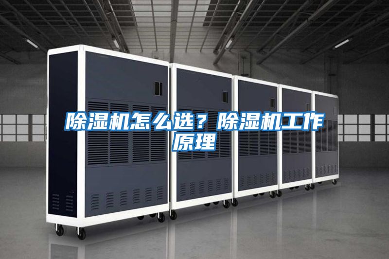 除濕機怎么選？除濕機工作原理