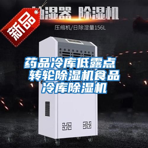 藥品冷庫低露點(diǎn) 轉輪除濕機食品冷庫除濕機