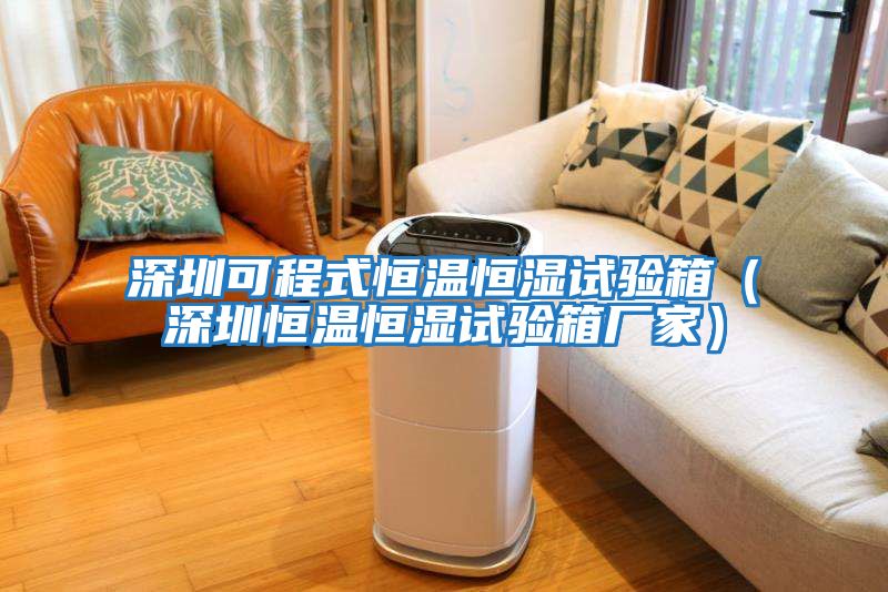 深圳可程式恒溫恒濕試驗箱（深圳恒溫恒濕試驗箱廠(chǎng)家）