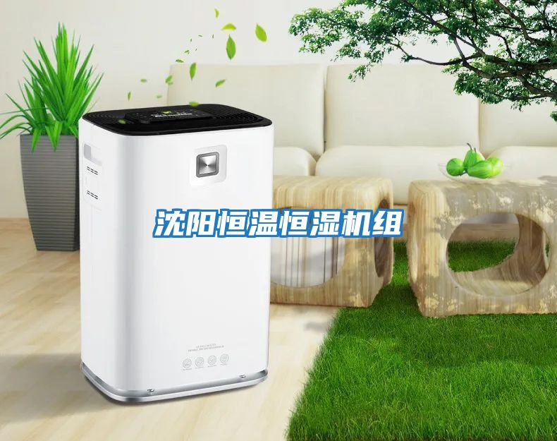 沈陽(yáng)恒溫恒濕機組