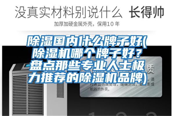 除濕國內什么牌子好(除濕機哪個(gè)牌子好？盤(pán)點(diǎn)那些專(zhuān)業(yè)人士極力推薦的除濕機品牌)