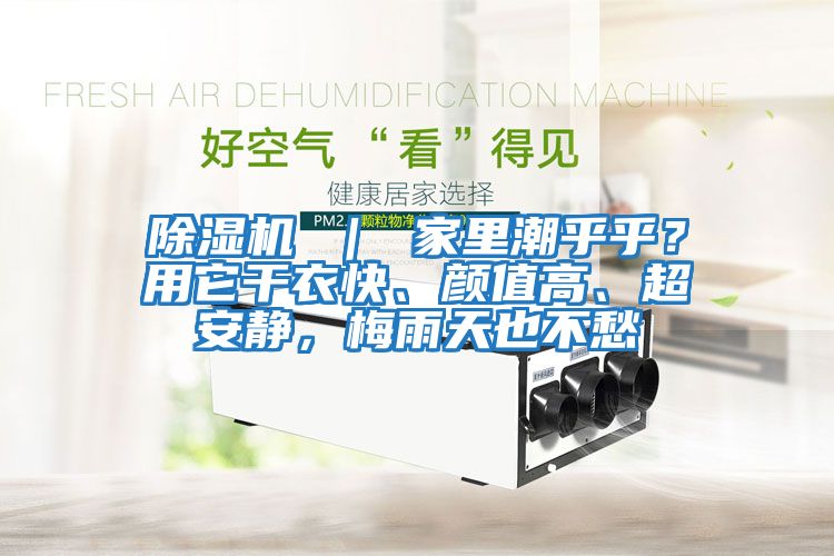 除濕機 ｜ 家里潮乎乎？用它干衣快、顏值高、超安靜，梅雨天也不愁