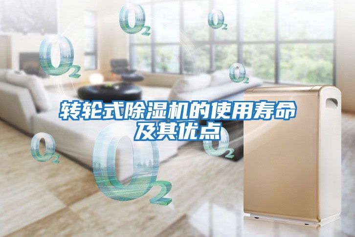 轉輪式除濕機的使用壽命及其優(yōu)點(diǎn)