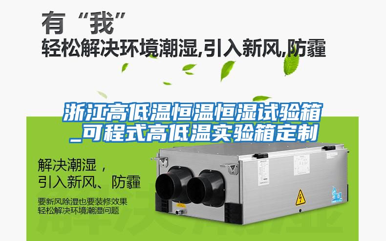 浙江高低溫恒溫恒濕試驗箱_可程式高低溫實(shí)驗箱定制