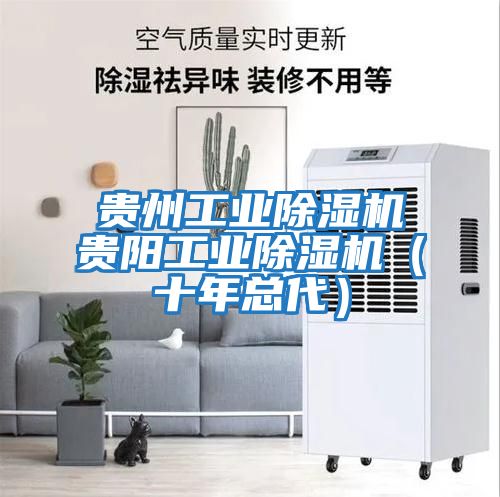 貴州工業(yè)除濕機貴陽(yáng)工業(yè)除濕機（十年總代）