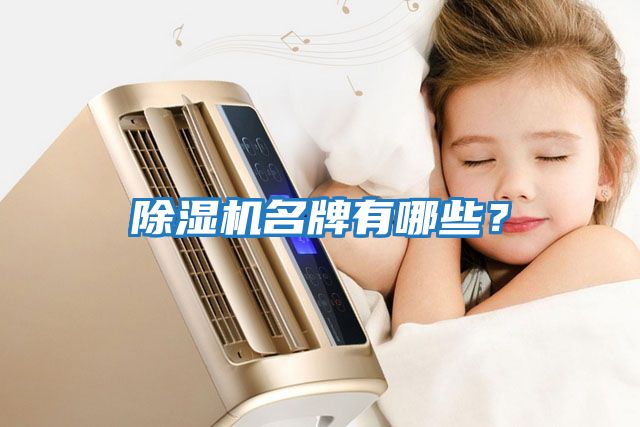 除濕機名牌有哪些？