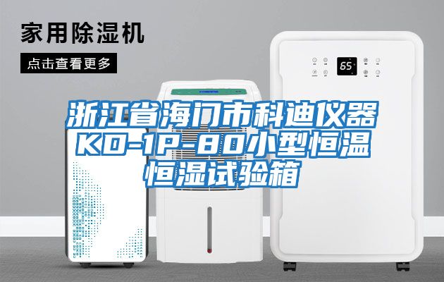 浙江省海門(mén)市科迪儀器KD-1P-80小型恒溫恒濕試驗箱