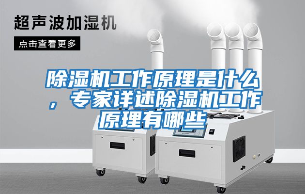 除濕機工作原理是什么，專(zhuān)家詳述除濕機工作原理有哪些