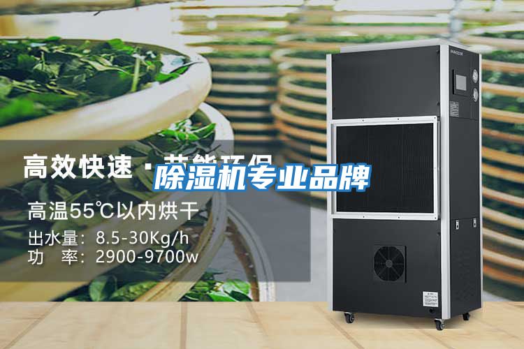 除濕機專(zhuān)業(yè)品牌