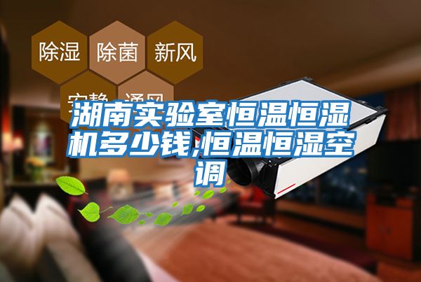 湖南實(shí)驗室恒溫恒濕機多少錢(qián),恒溫恒濕空調