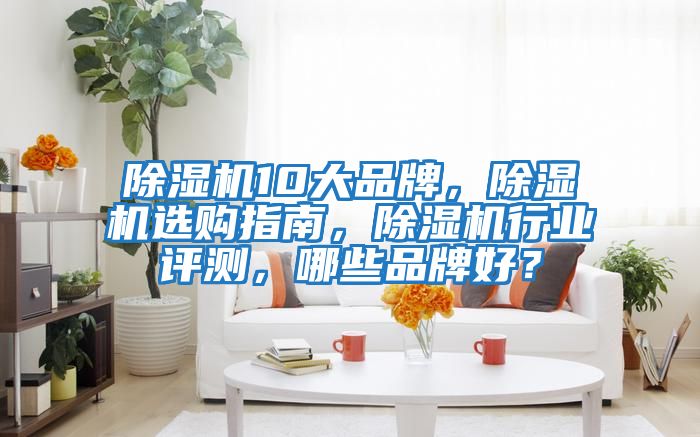 除濕機10大品牌，除濕機選購指南，除濕機行業(yè)評測，哪些品牌好？