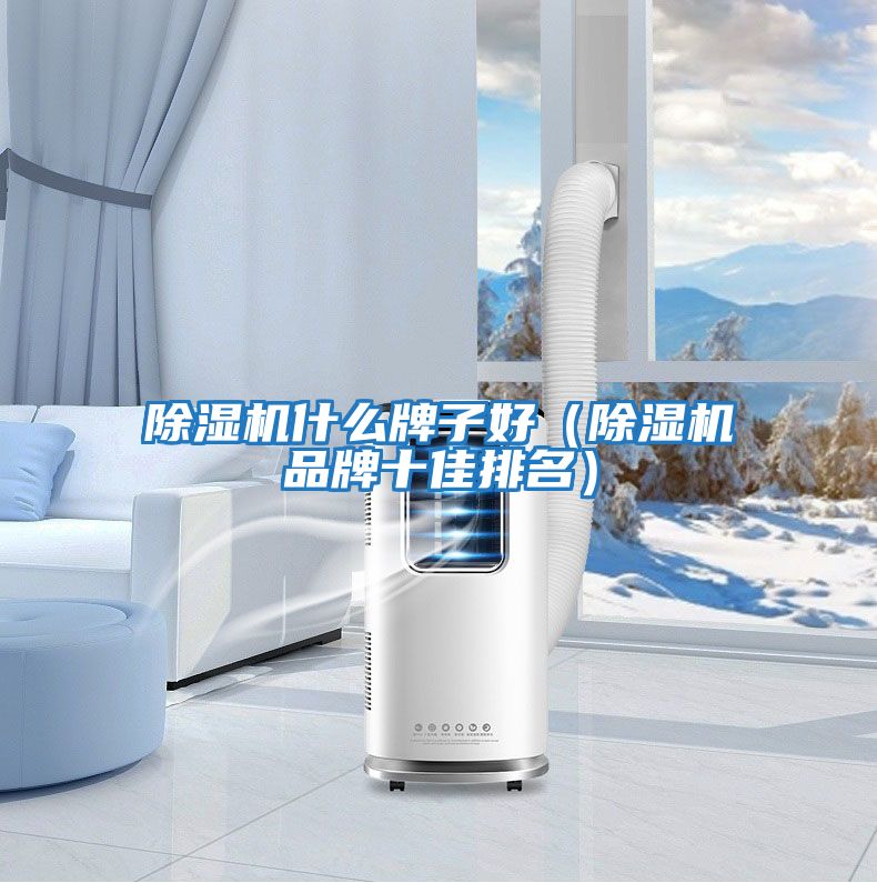 除濕機什么牌子好(除濕機品牌十佳排名)