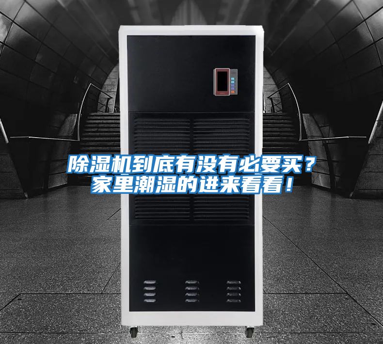 除濕機到底有沒(méi)有必要買(mǎi)？家里潮濕的進(jìn)來(lái)看看！