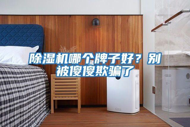 除濕機哪個(gè)牌子好？別被傻傻欺騙了