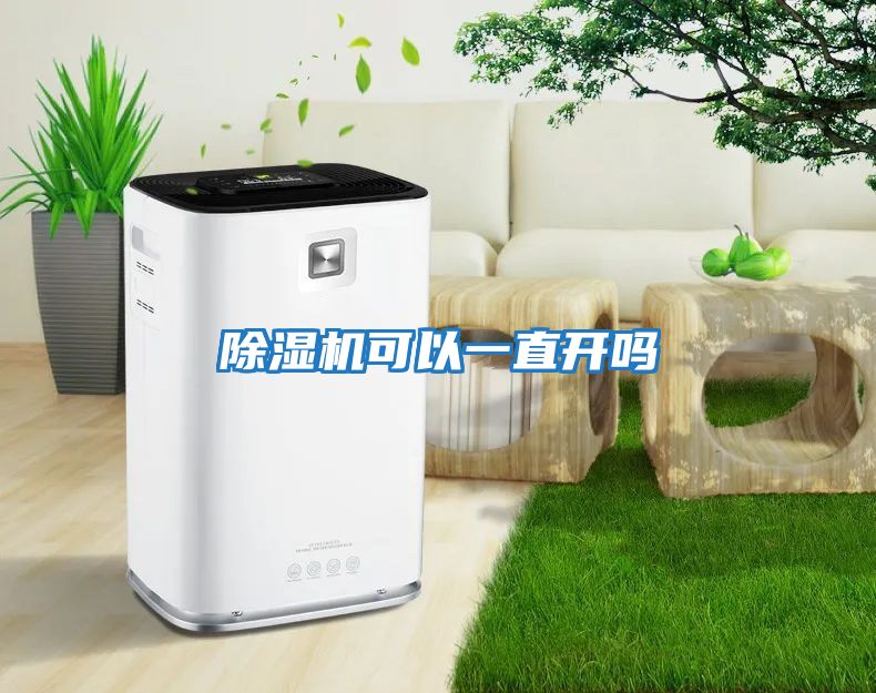 除濕機可以一直開(kāi)嗎