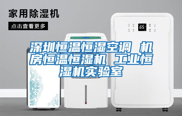 深圳恒溫恒濕空調 機房恒溫恒濕機 工業(yè)恒濕機實(shí)驗室