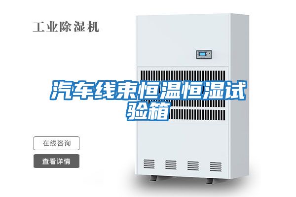 汽車(chē)線(xiàn)束恒溫恒濕試驗箱