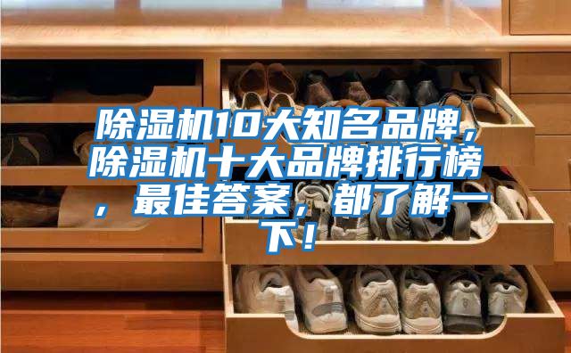 除濕機10大知名品牌，除濕機十大品牌排行榜，最佳答案，都了解一下！
